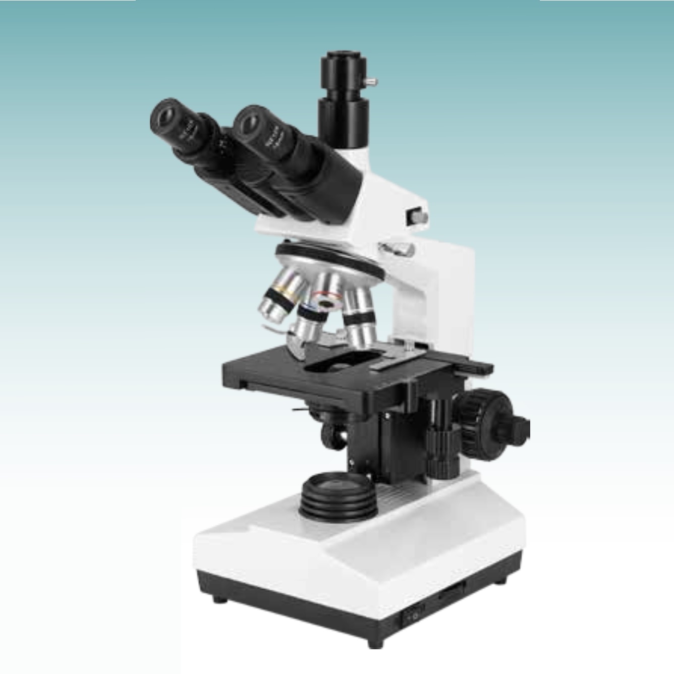 Hot Sale Biological Microscope (MT28107204) 